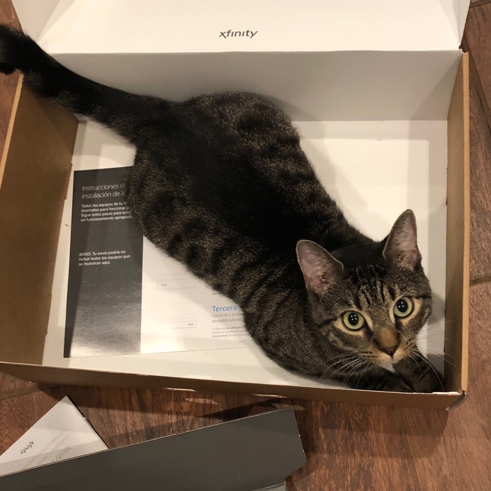 Meet your Posher, Dasha